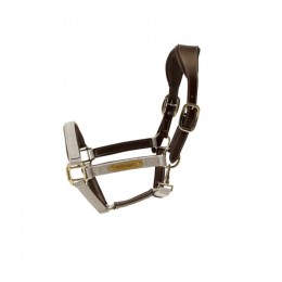 Kentucky Nylon Anatomic Halter
