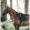 Kentucky Fly Veil Wellington Stone