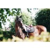 Kentucky Fly Veil Long Stone