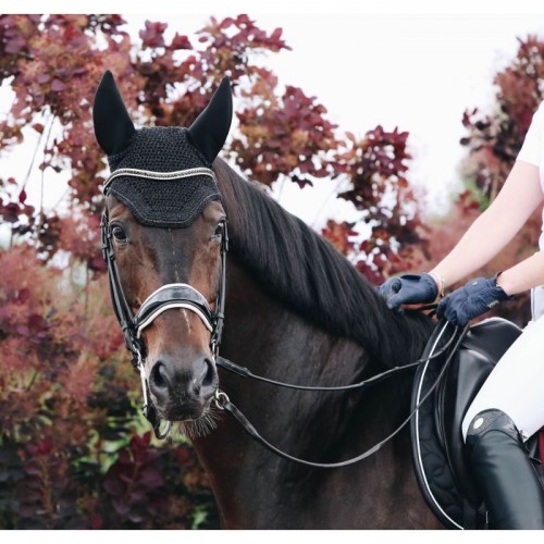 Kentucky Fly Veil Wellington Sparkling