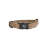 Kentucky Dog Collar Lizard