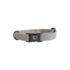 Kentucky Dog Collar Lizard