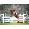 Flair Equine Nasal strips