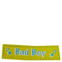 Premiere Halter Foal Fun