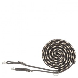 BR Lunging Aid