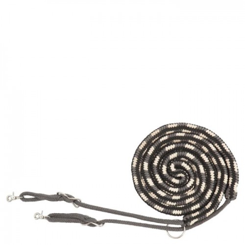 BR Lunging Aid