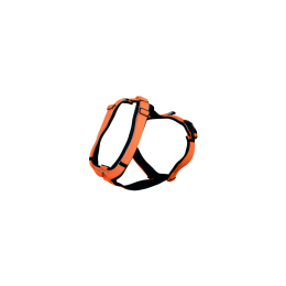 Sprenger Foal Harnas