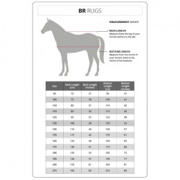 BR FW'24 excercise rug