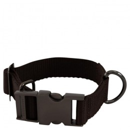 BR FW'24 dog collar