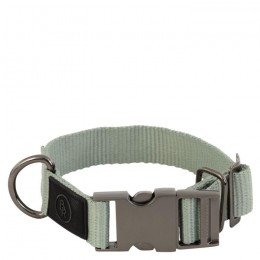 BR SS25 Dog Collar