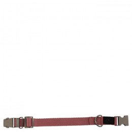 BR SS25 Dog Collar