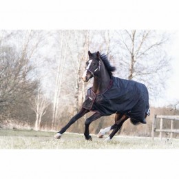 Catago Dual Pro rug 100gr and 100gr liner