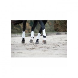 Catago Dressage boots set of 4
