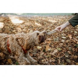 Kentucky Dog Toy Cotton Rope Baseball