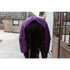 Kentucky Show Rug 160g Royal Purple