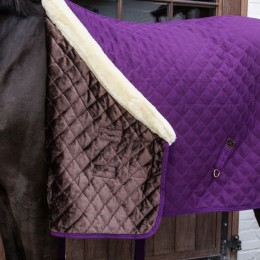 Kentucky Show Rug 160g Royal Purple