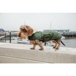 Kentucky Dog Coat Waterproof