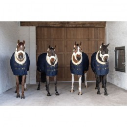 Kentucky Show rug 160g