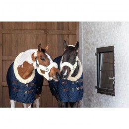 Kentucky Show rug 160g