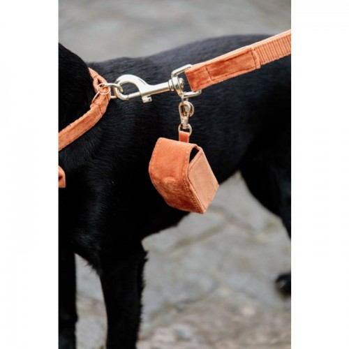 Kentucky Poop Bag Square Velvet