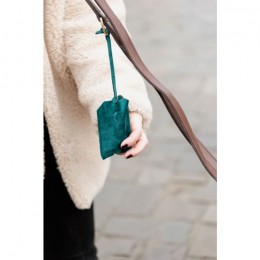 Kentucky Poop Bag Pocket Velvet