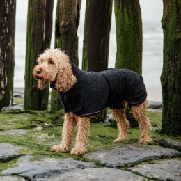 Kentucky Dog Coat Towel