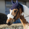 Kentucky Fly Veil