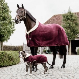 Kentucky Dog coat heavy fleece