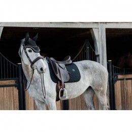 Kentucky Fly Veil Wellington Big Stone