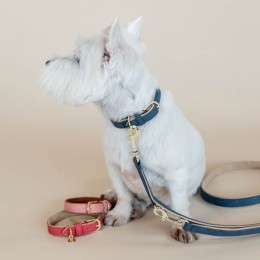 Kentucky Dog Lead Vegan Leather