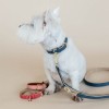 Kentucky Dog Collar Soft Vegan Leather