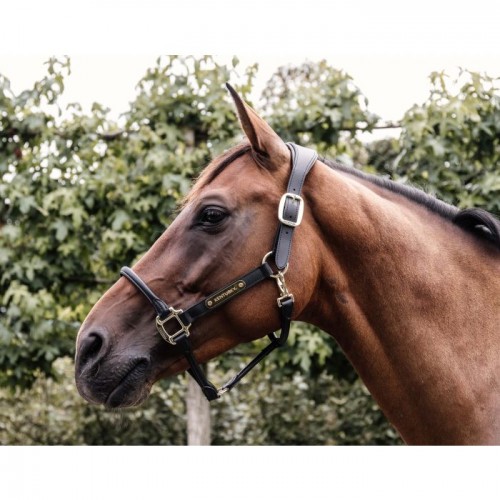 Kentucky Anatomic Leather Halter