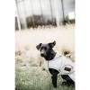Kentucky Dog Coat Reflective