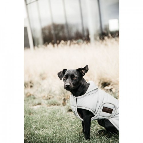 Kentucky Dog Coat Reflective