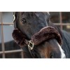 Kentucky Halter Furs