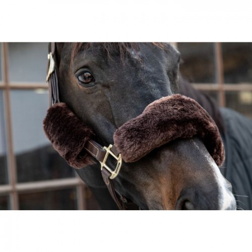 Kentucky Halter Furs