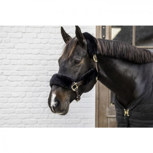 Kentucky Halter Furs