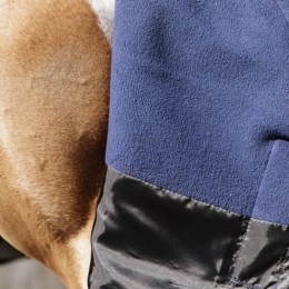 Kentucky Turnout Rug All Weather Quick Dry Fleece 0g
