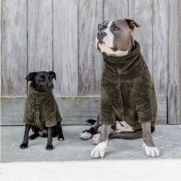 Kentucky Dog Sweater Teddy Fleece