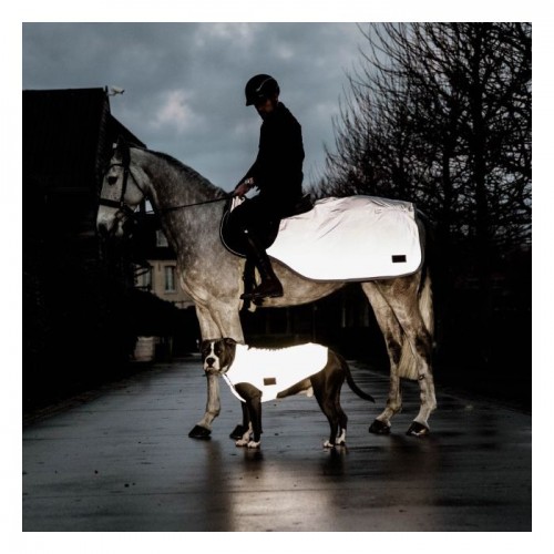 Kentucky Dog Coat Reflective
