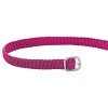 Sprenger Perlon spurstraps