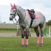 Weatherbeeta Prime jumping saddle pad