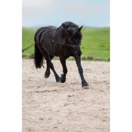 Imperial Riding Double lunging rein Free Ride