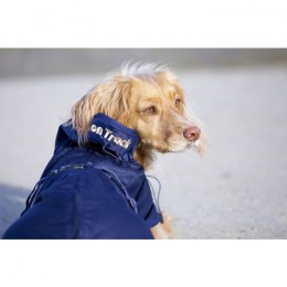 Back on Track Mesh Dog Rug