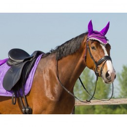 QHP Earnet Color