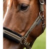 Waldhausen Halter Elegant