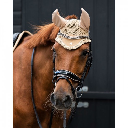 QHP Ear Net Orlando