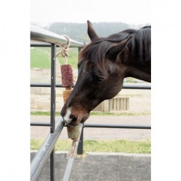 Grooming Deluxe Wooden Relax Horse Toy De-Stress