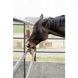 Grooming Deluxe Wooden Relax Horse Toy De-Stress