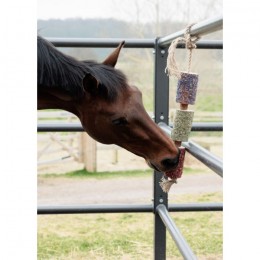 Grooming Deluxe Wooden Relax Horse Toy Freedom